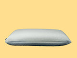 Backcare Pillow High